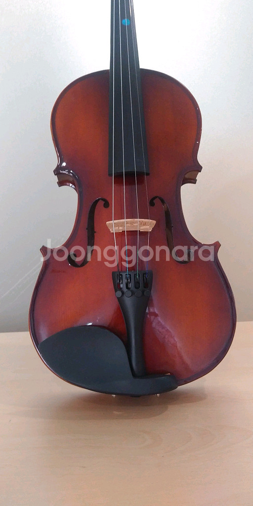 Albert SV - 504 초특급 4/4 바이올린--2