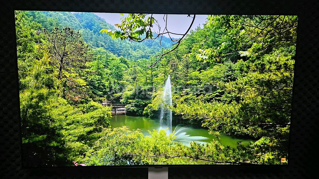 LG 55인치 OLED TV--0