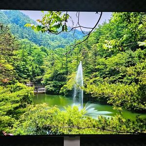 LG 55인치 OLED TV