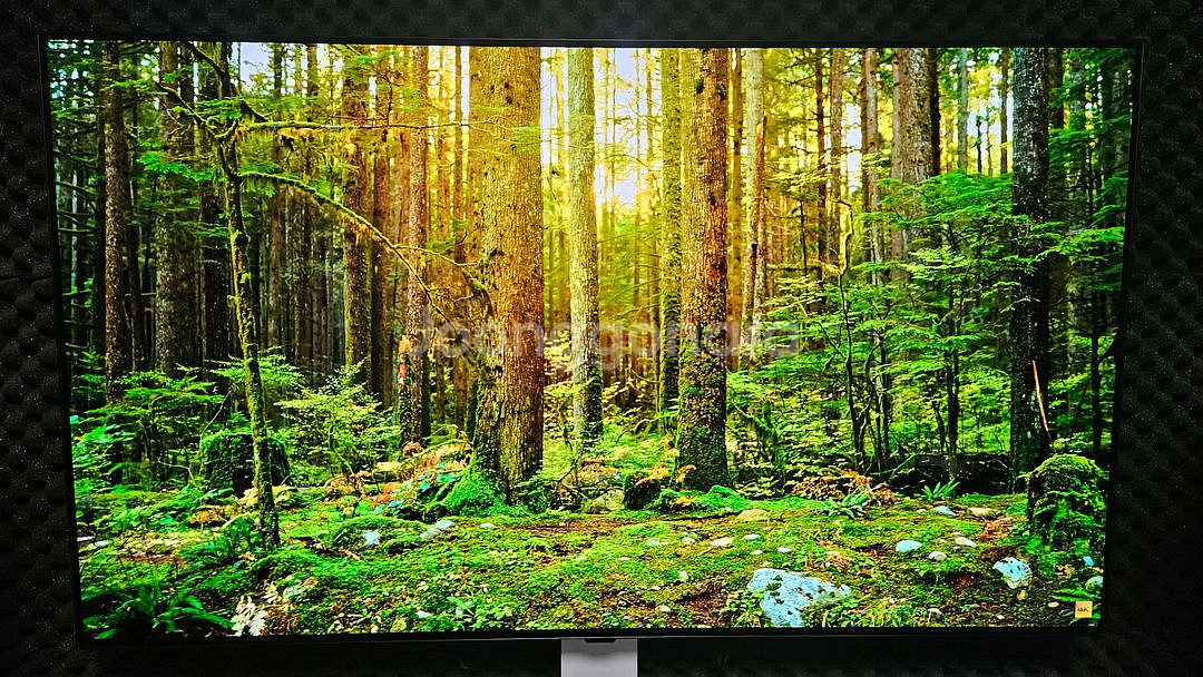 LG 55인치 OLED TV--1