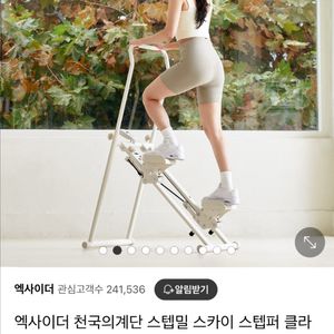 엑사이더 스텝퍼 천국의계단