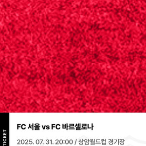 바르셀로나 vs fc서울 1등석c 티켓