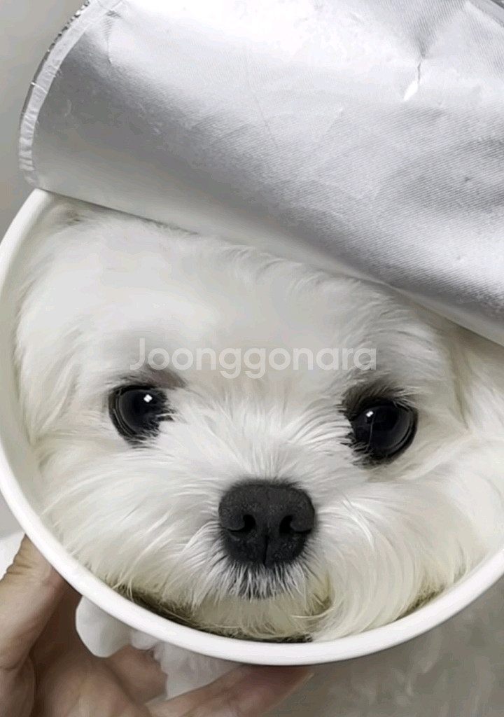 이터널리턴 SSS급 닉네임판매합니다.--0