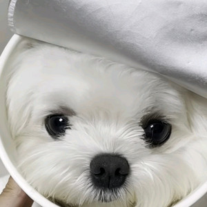 이터널리턴 SSS급 닉네임판매합니다.