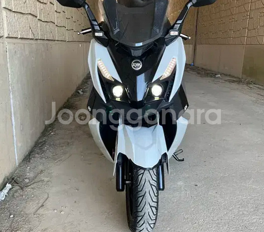 2023 크루심 알파 125--0
