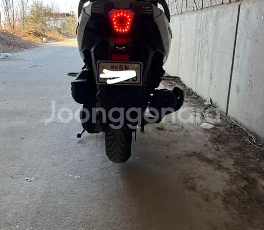 2023 크루심 알파 125--2