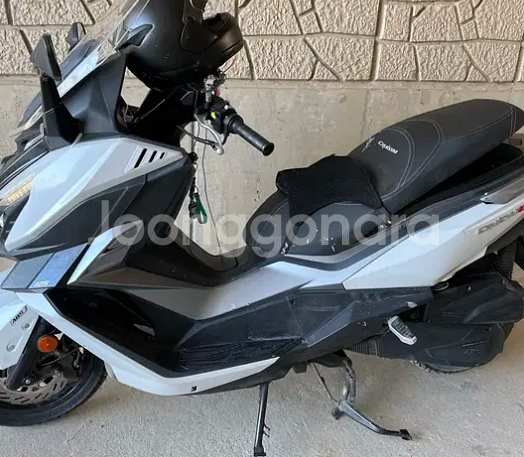 2023 크루심 알파 125--5
