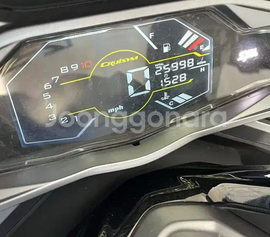 2023 크루심 알파 125--3
