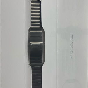 애플워치 링크브레이슬릿 내추럴 42mm 시착품