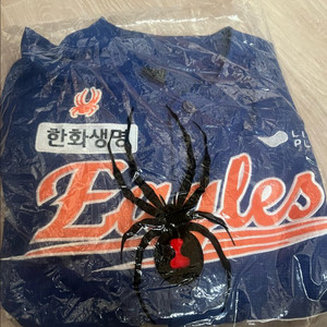 한화 이글스 어센틱 썸니폼 100