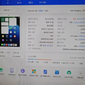 아이패드 미니5 64기가 와이파이 버전 판매합니다.