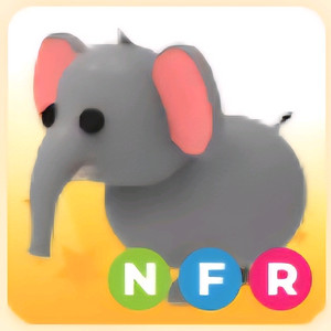 입양하세요 NFR 코끼리