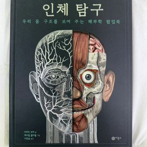 인체 탐구 팝업북