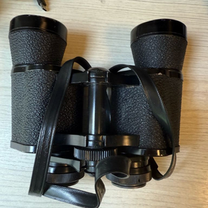 전문가용 쌍안경