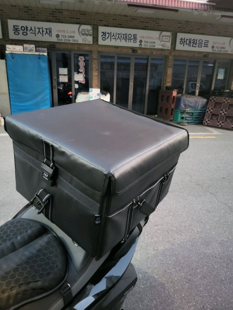 카멜레온바스켓 이미지