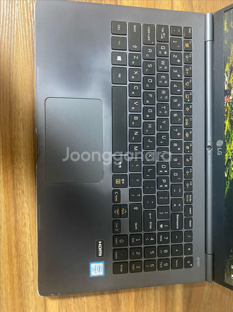 LG 그램--3