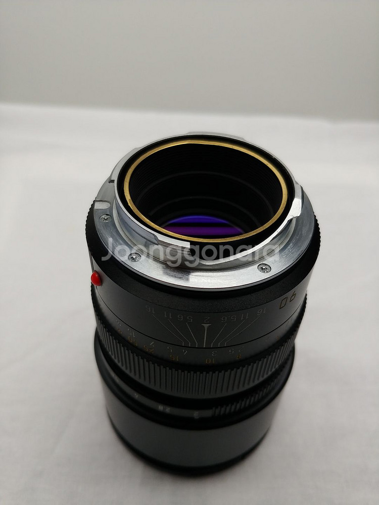 라이카 SUMMICRON-M 1:2 90mm (A++--6