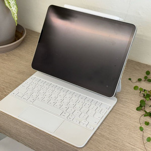 아이패드 프로 11인치 2TB wifi+cellular