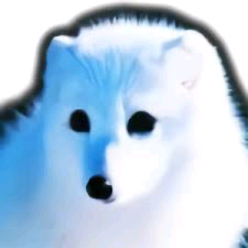 에펨코리아 포인트 팝니다--0