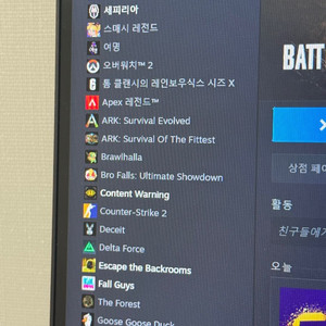 스팀계 급처