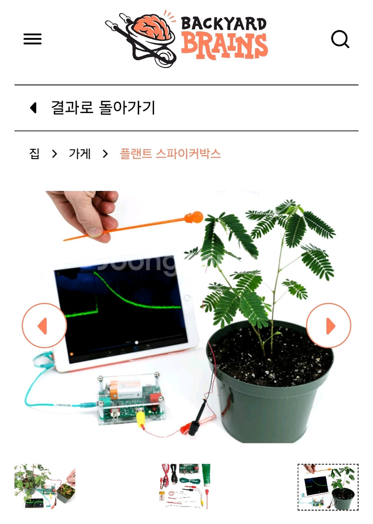 활동전위(전기신호) 측정(plant spikerbox)--1