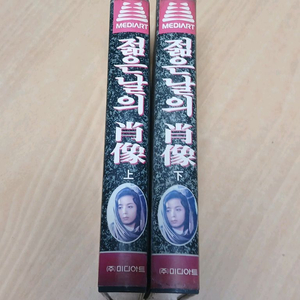 정보석 이혜숙 배종옥 옥소리 젊은날의 초상 비디오