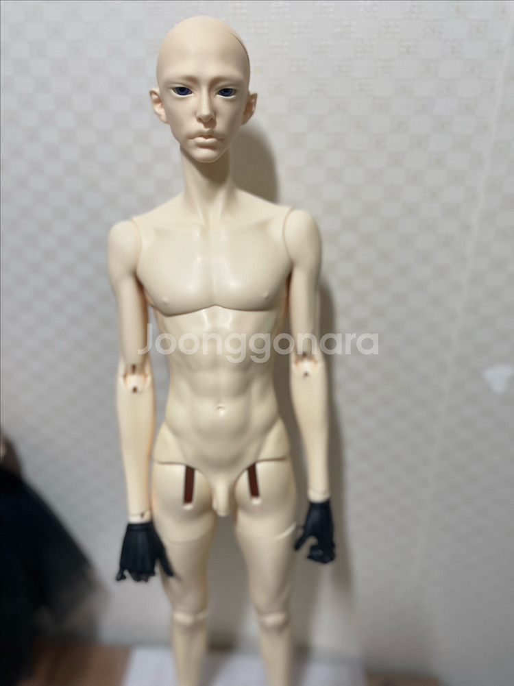 아티토돌 노멀 콜티오헤드 + 알리익스프레스 바디--4