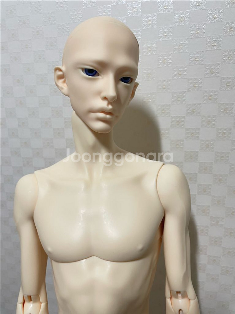 아티토돌 노멀 콜티오헤드 + 알리익스프레스 바디--1