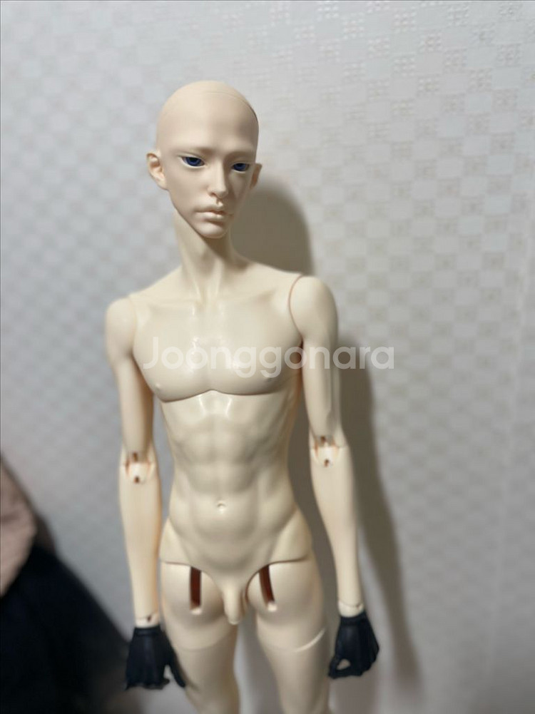 아티토돌 노멀 콜티오헤드 + 알리익스프레스 바디--3