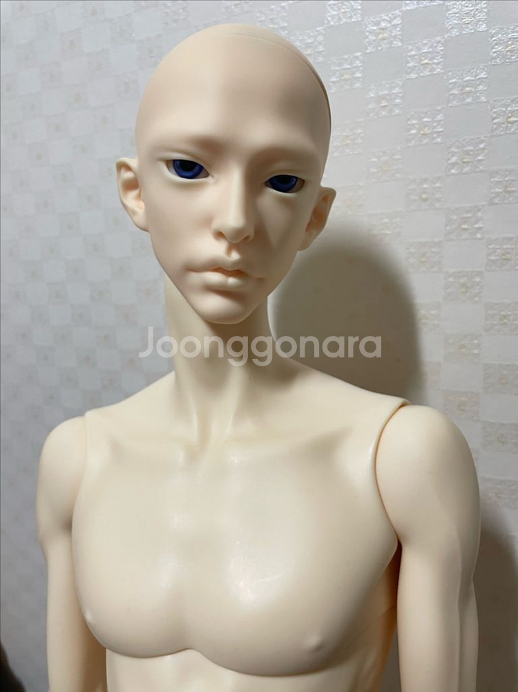 아티토돌 노멀 콜티오헤드 + 알리익스프레스 바디--0