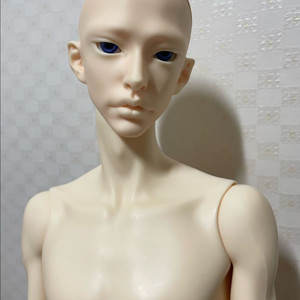 아티토돌 노멀 콜티오헤드 + 알리익스프레스 바디