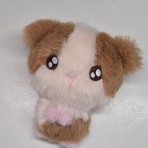 앤팀 하루아 인형 룽기니