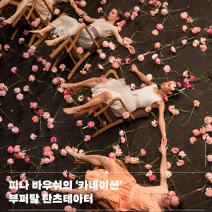 피나 바우쉬의 카네이션, 부퍼탈 탄츠테아터