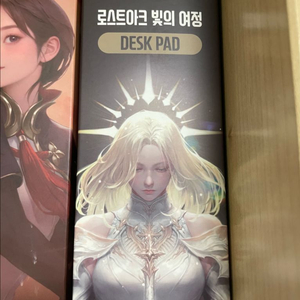 로스트아크 발키리 장패드