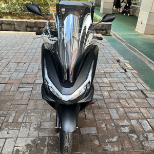 혼다 pcx 125 2025년 6월 출시 팝니다