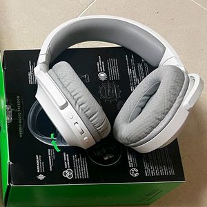 레이저 바라쿠다 x plus 화이트