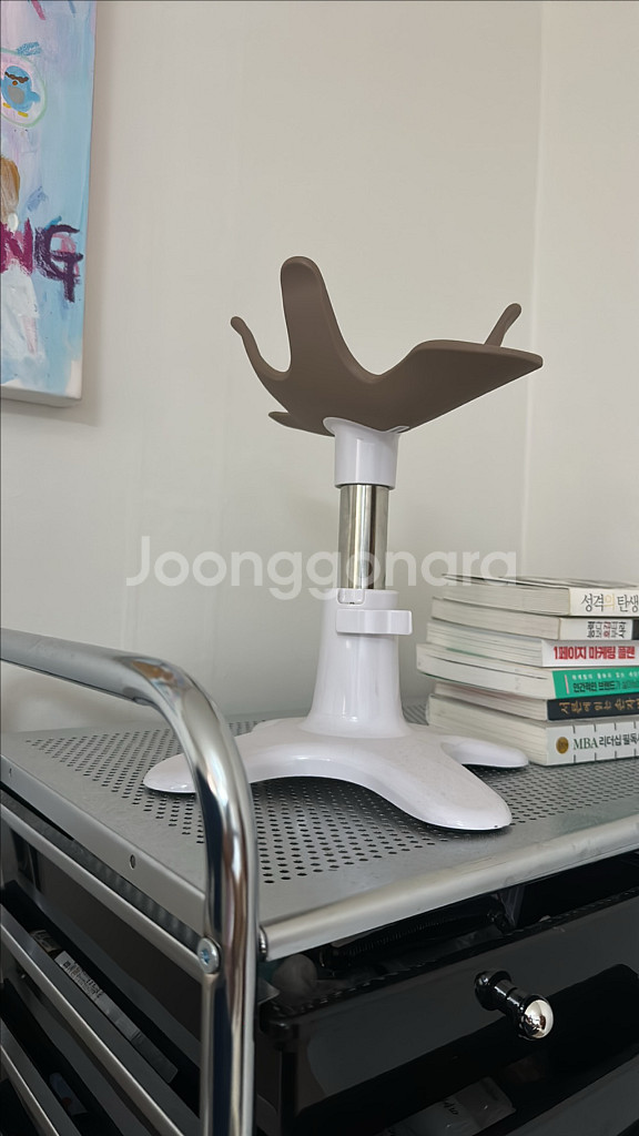 샘슨살롱 강아지 미용 거치대 애견미용--0