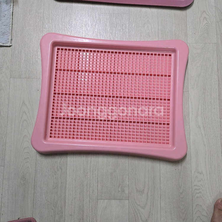 강아지 배변판 일괄--3