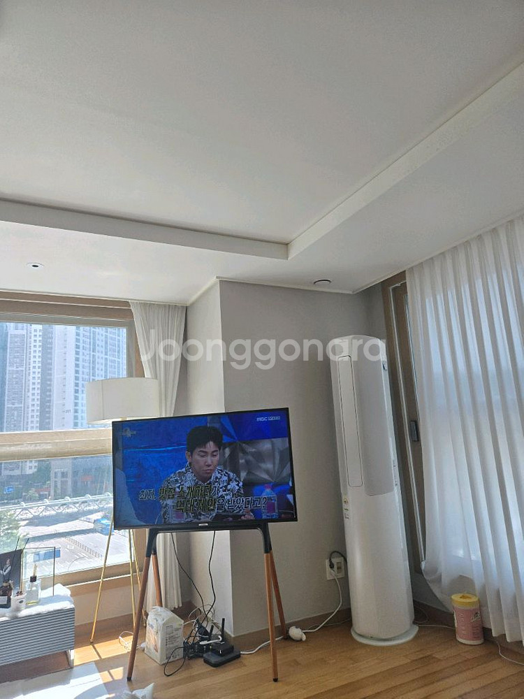 카레가49인치티비--0