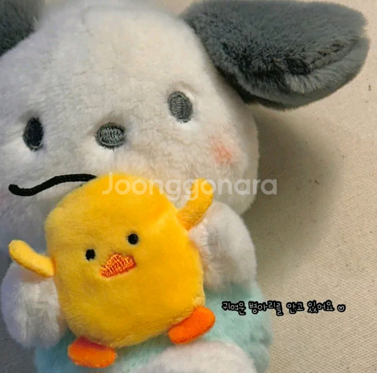 새상품 병아리 포차코 인형 키링--1