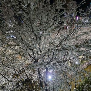 다산 전기산업기사 기출 삽니다