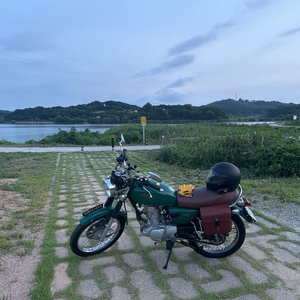 울프 노스텔지아 125