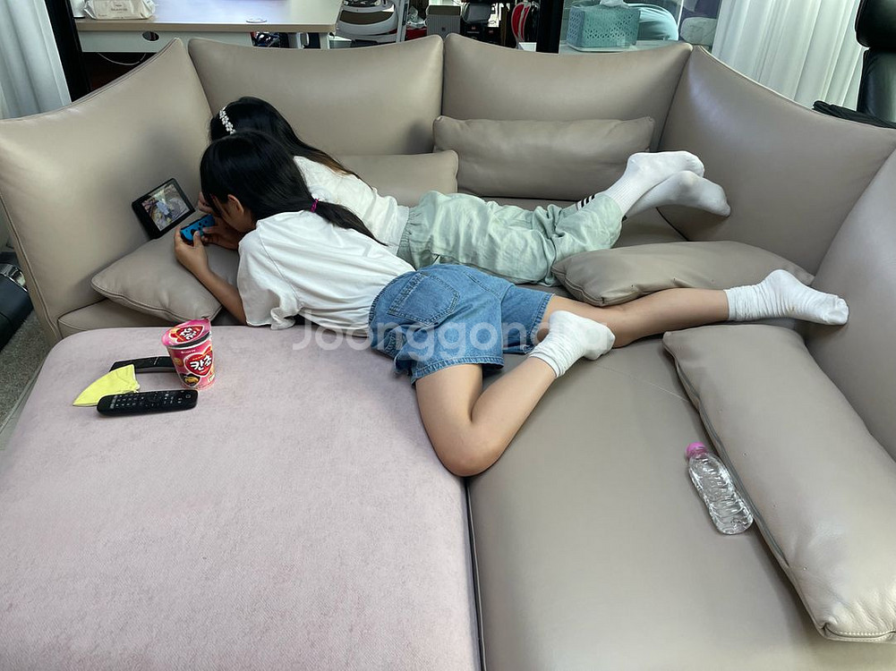 알로소 케렌시아 3모듈 라운지 소파, 알로소 소파--7
