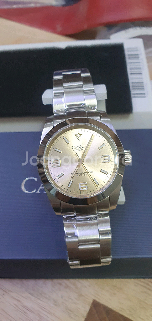 Cadisen c8213g 오토메틱시계 팝니다--0