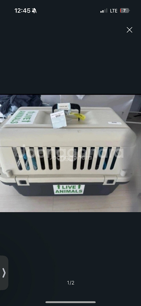 펫캐리어, 애견이동장, 고양이캐리어, 강아지캐리어--0