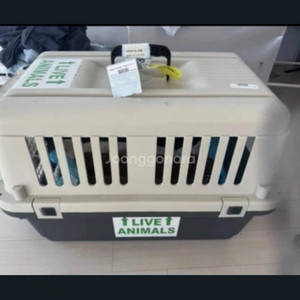 펫캐리어, 애견이동장, 고양이캐리어, 강아지캐리어