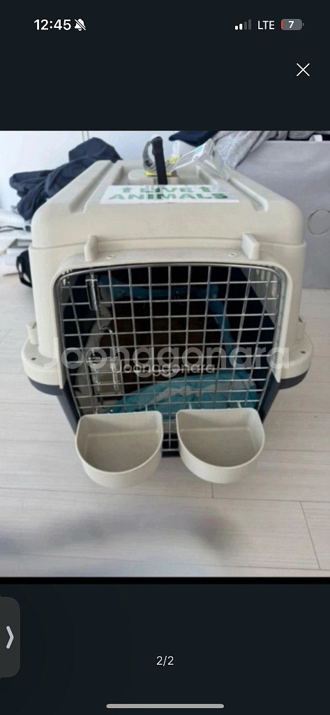 펫캐리어, 애견이동장, 고양이캐리어, 강아지캐리어--1