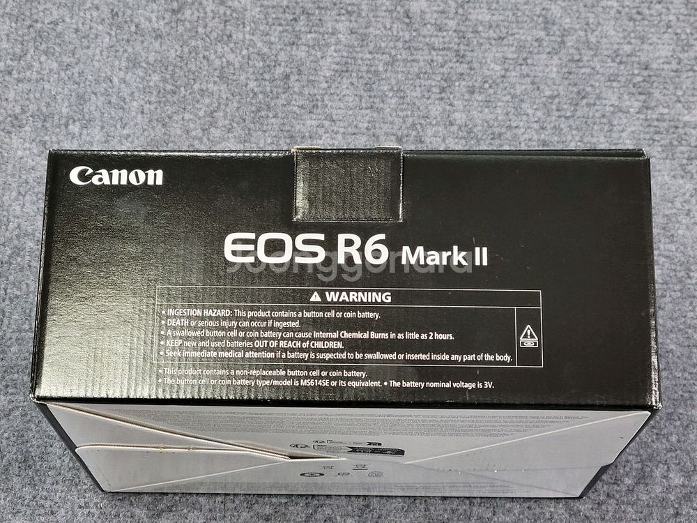 캐논 r6 mark 2--0