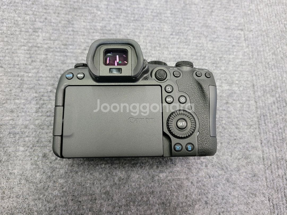 캐논 r6 mark 2--3