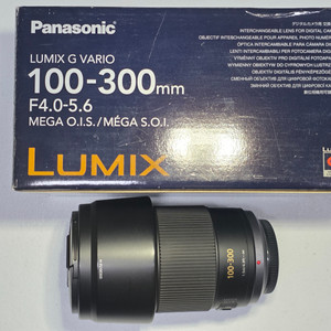 파나소닉 루믹스 100-300mm 망원렌즈